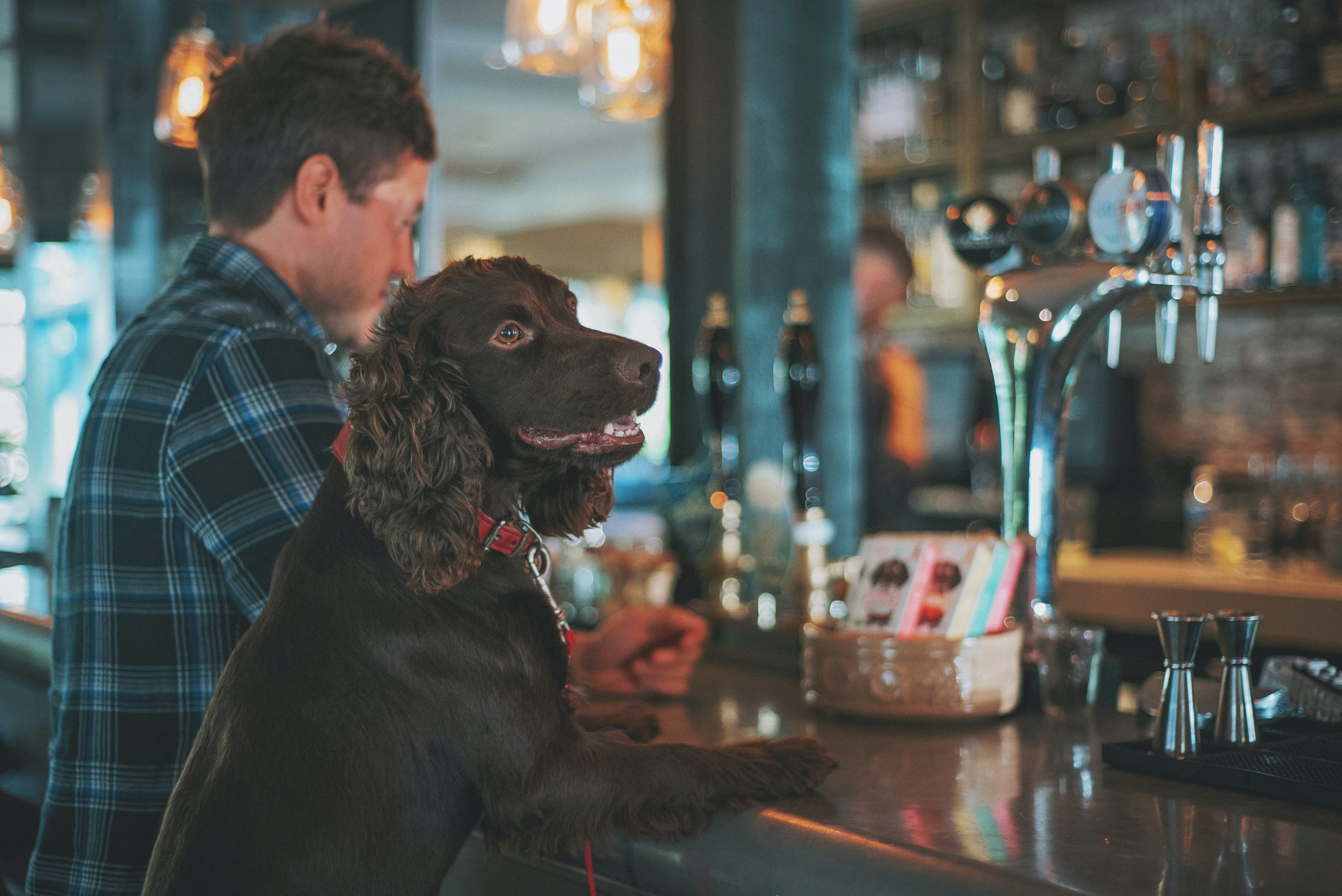 Dog-Friendly Pubs in The Lake District