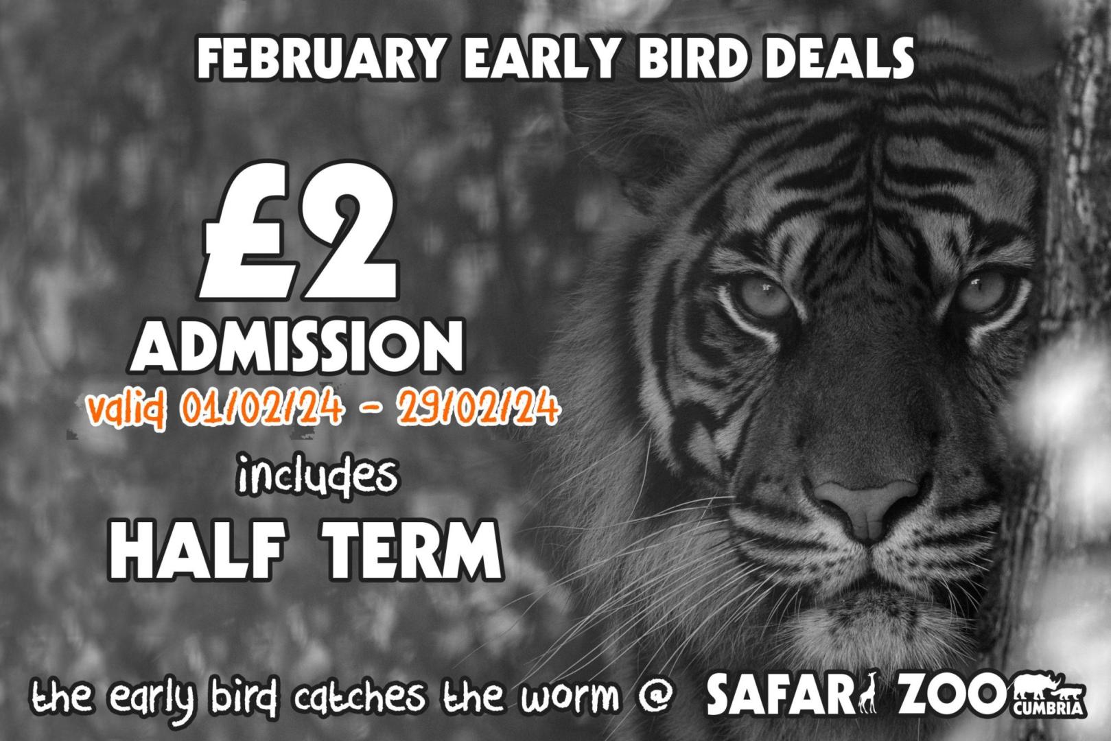 Safari Zoo Early Bird Deals Dalton Zoo