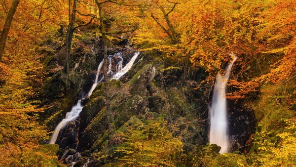 6 walks from Ambleside town centre