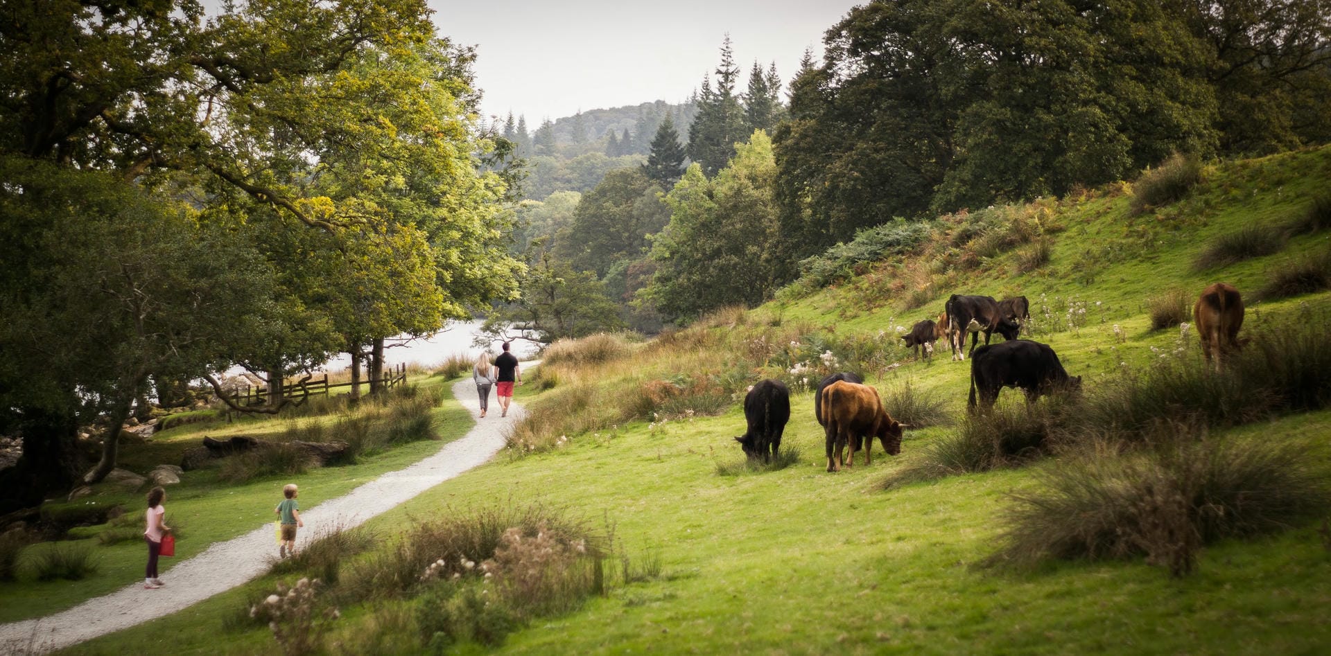 Visiting the Lake District in September